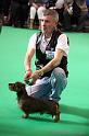 Crufts2011_2 701